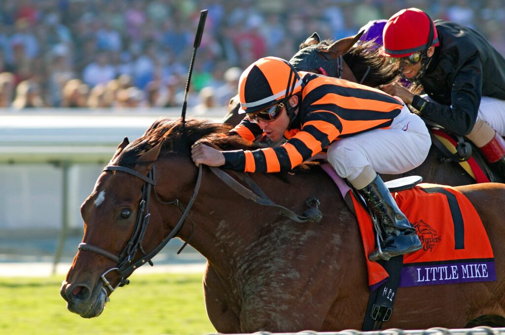 Little Mike wins the 2012 Breeders' Cup Turf