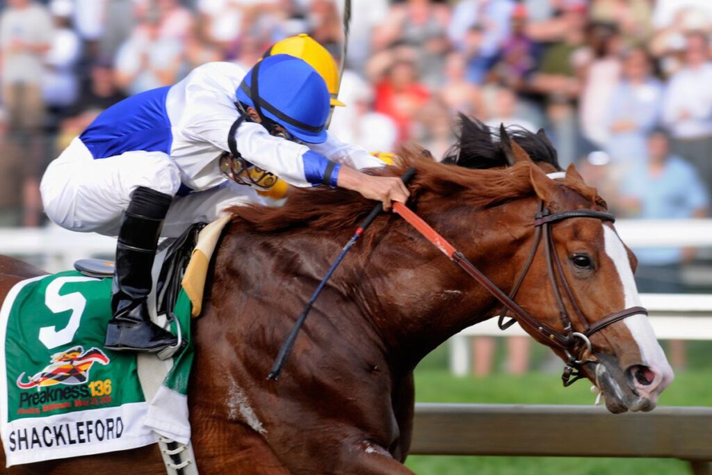 Shackleford Wins the 2011 Preakness Stakes